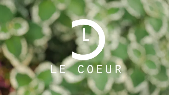 Le Coeur Watches