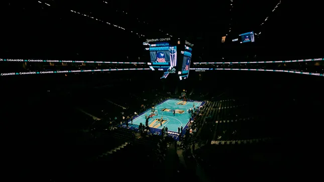 Hornets in game moments
