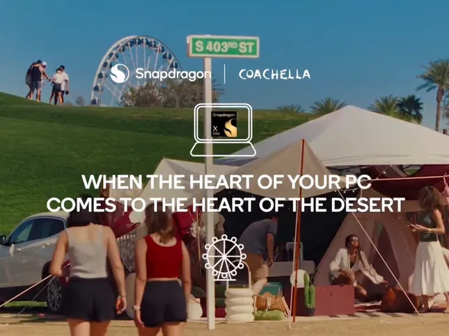 Coachella & Snapdragoon