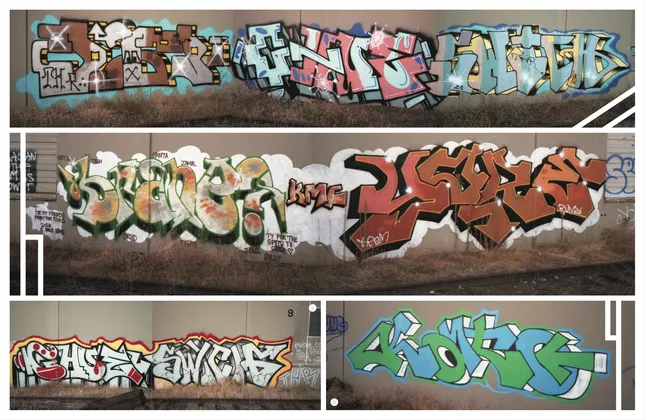 Project image