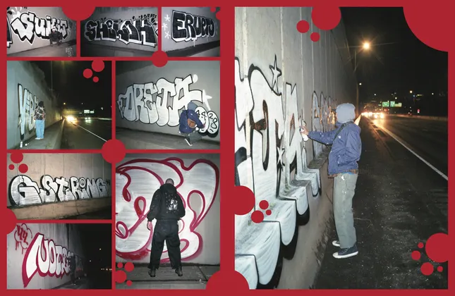 Project image