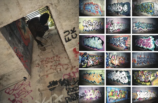 Project image