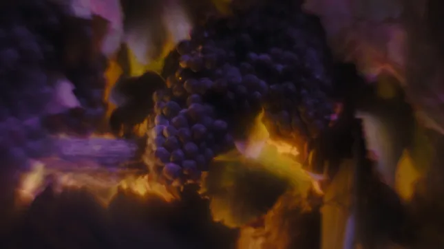 Fallen Grape 90s Social Ad