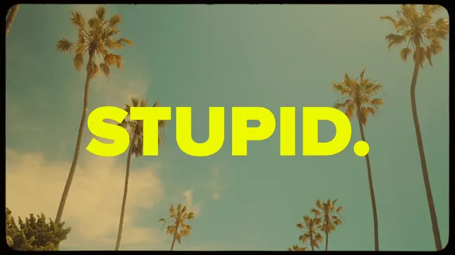 Steve Conwai - Stupid