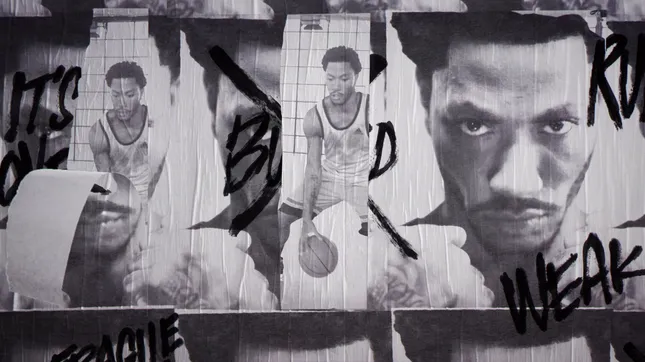 D Rose 5 Campaign