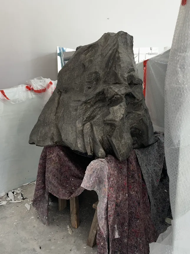 Project image