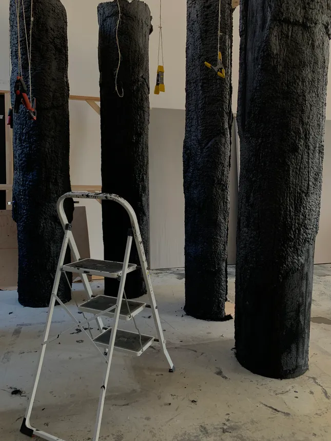 Project image