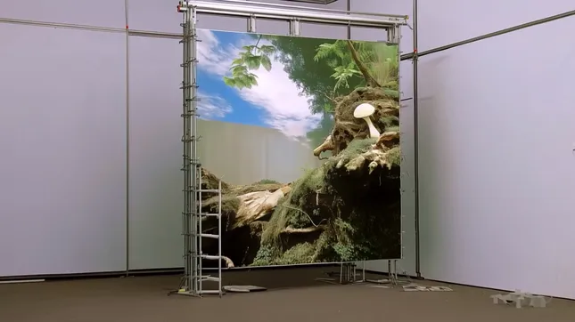 Project image
