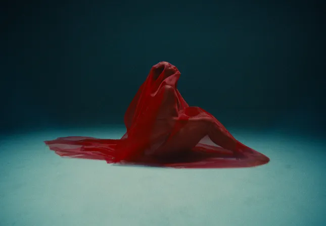 Music video for Elley Duhe