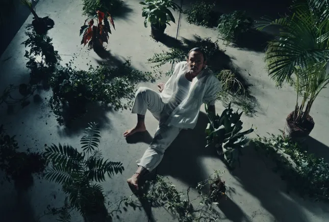 Satoshi // VFX