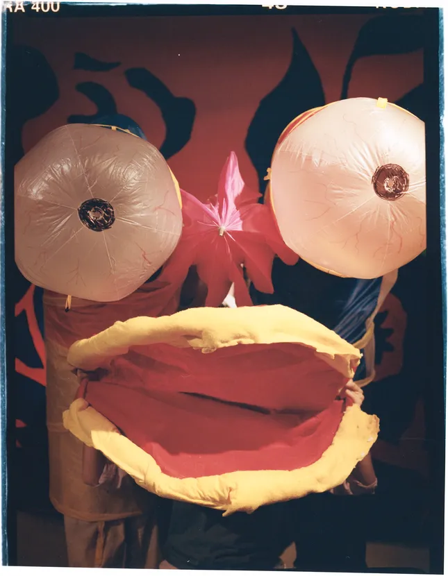 Project image