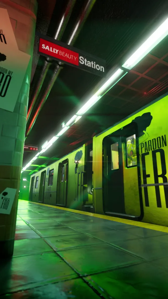Pardon my Fro- Product Subway project