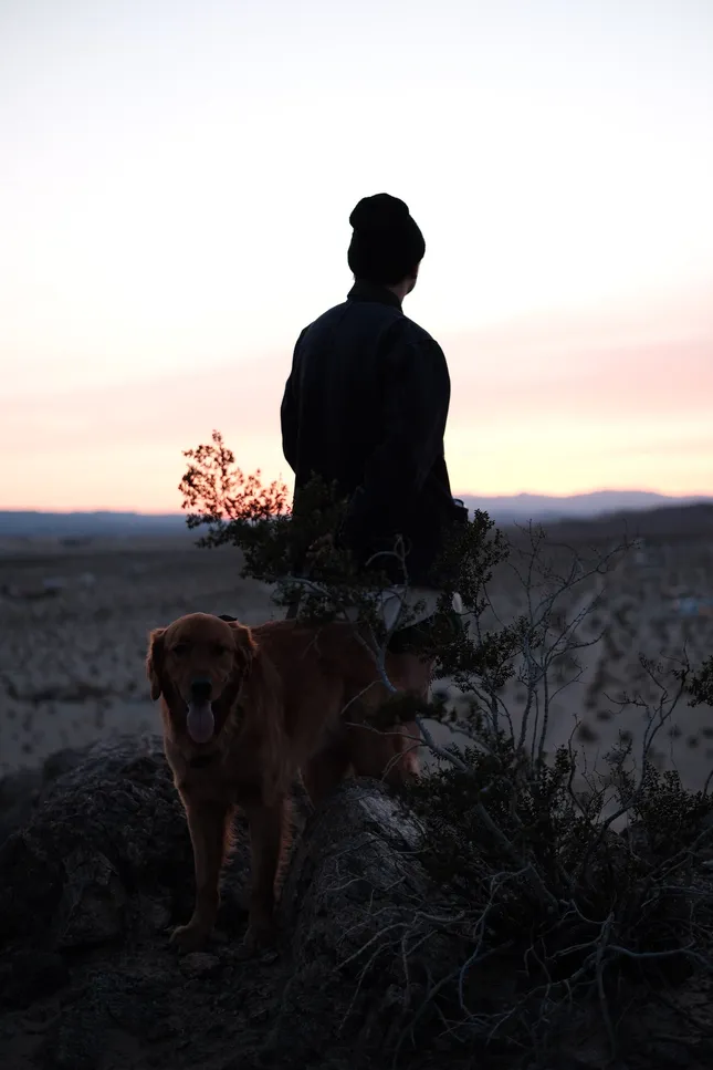 Scenes From The Desert