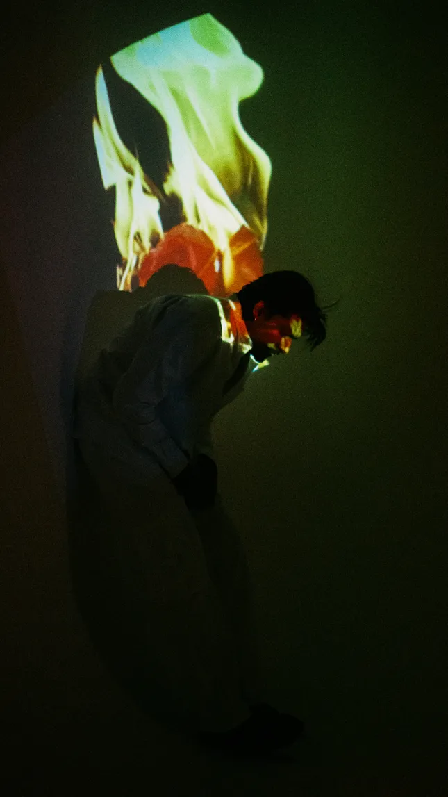 Project image