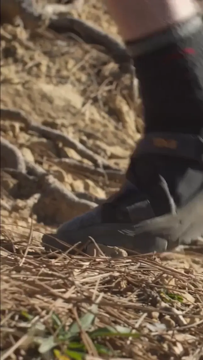 Teva Product Showcase