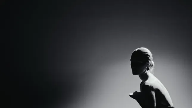 Chiaroscuro