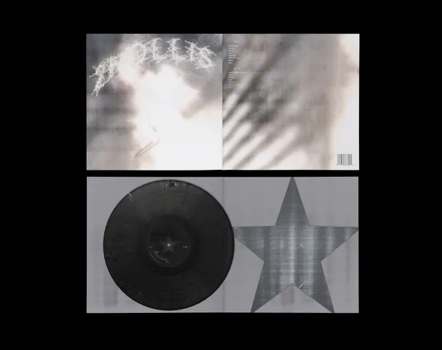 2Hollis vinyl concept