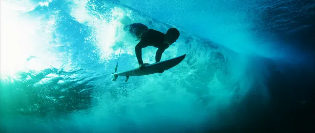 Wind- Fall Documentary Trailer