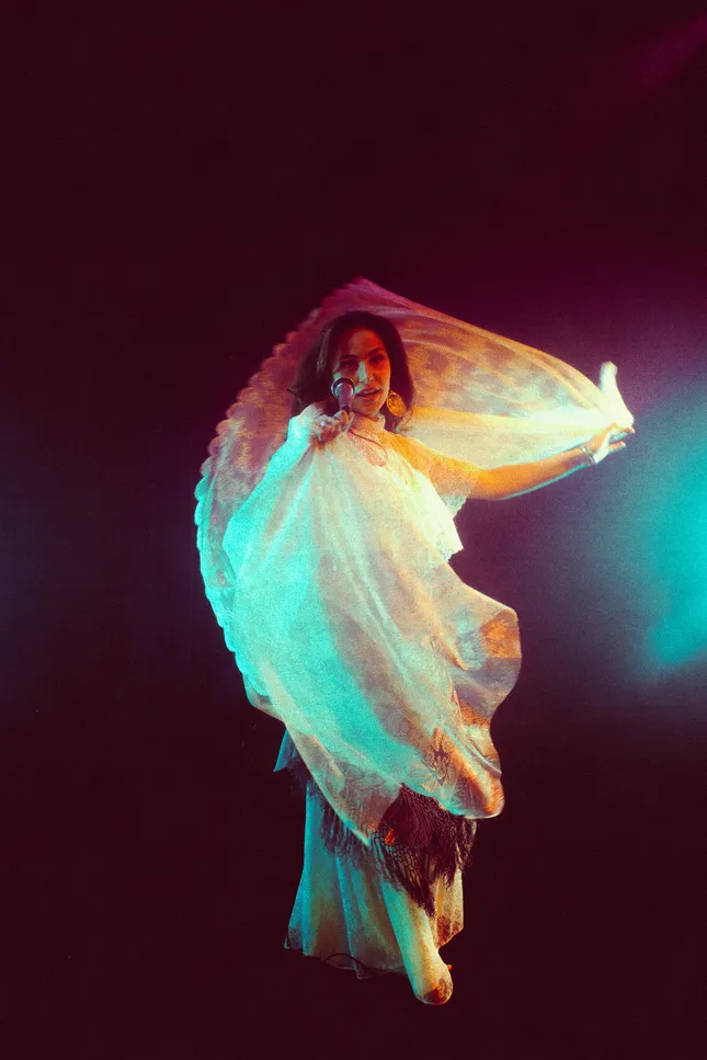 I Will Survive Cover Art