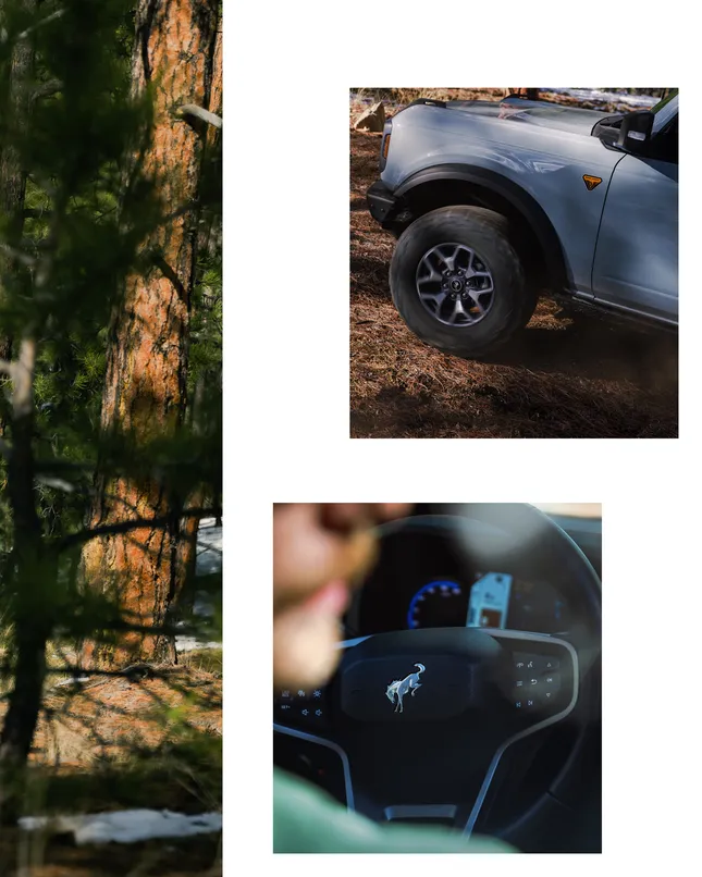 Project image