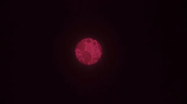 Time (short_experimental film)