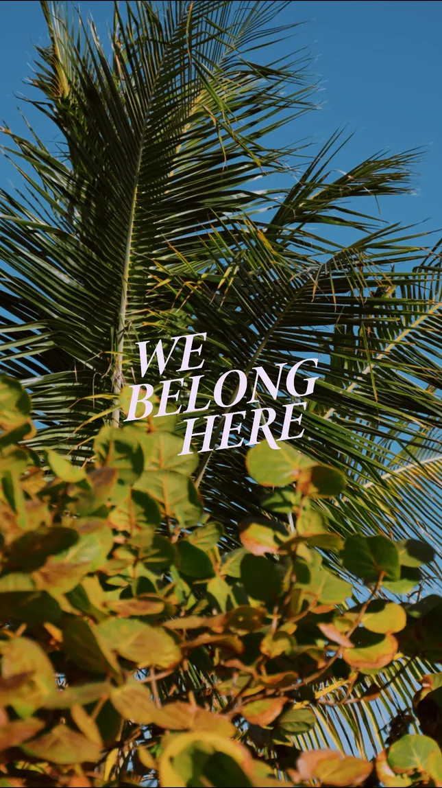 We Belong Here X Celsius