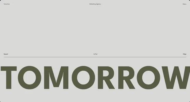 Project image