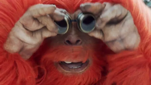 Argos Yeti