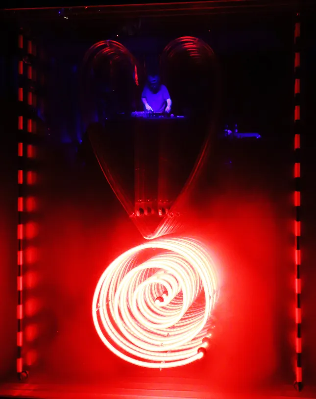 Project image