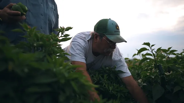 Taste of Blue Ridge \ Know Your Farmer