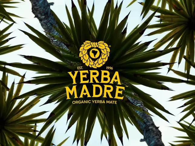 Yerba Madre Launch Event
