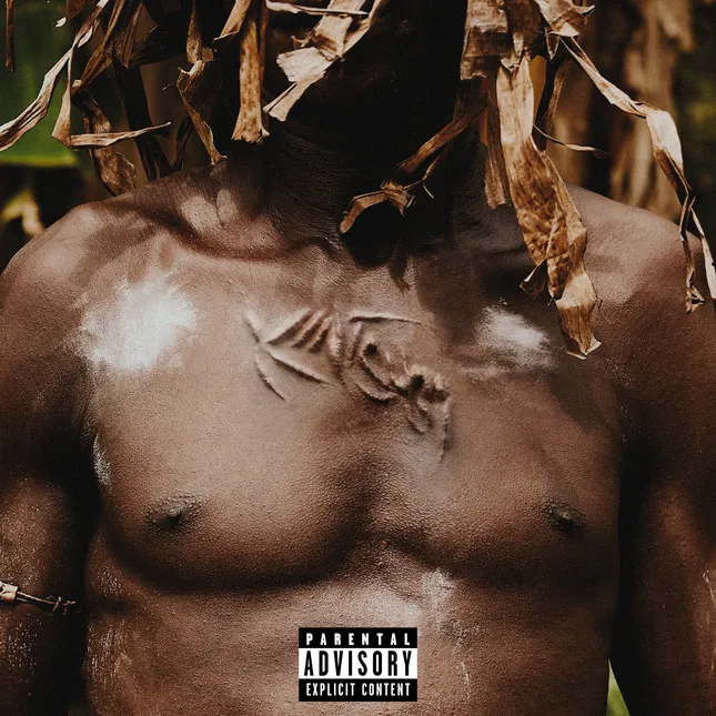 Dinos — Album covers