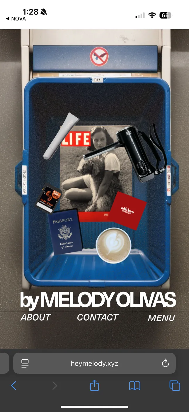Portfolio Design