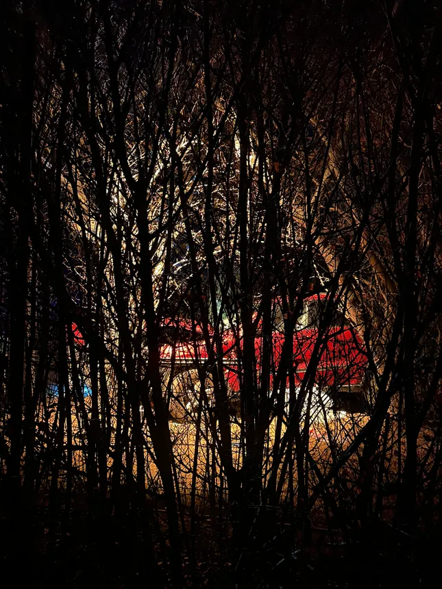 Car Crash Girl