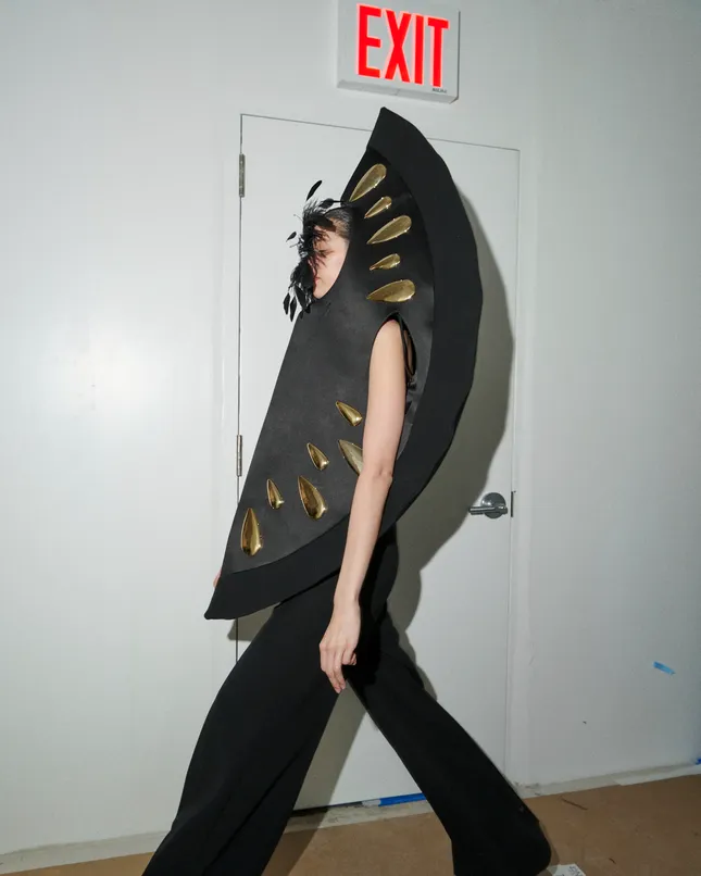 Project image