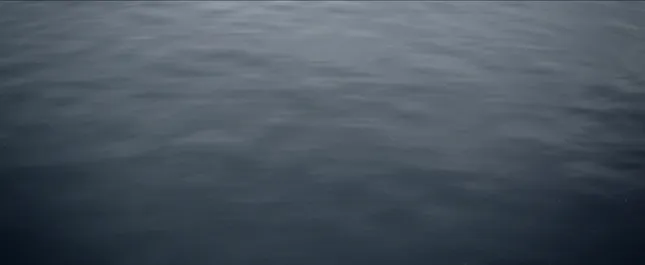 Antartica