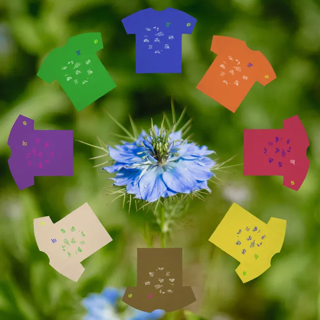 Salmon Creek Farm - T-shirt Design & Marketing