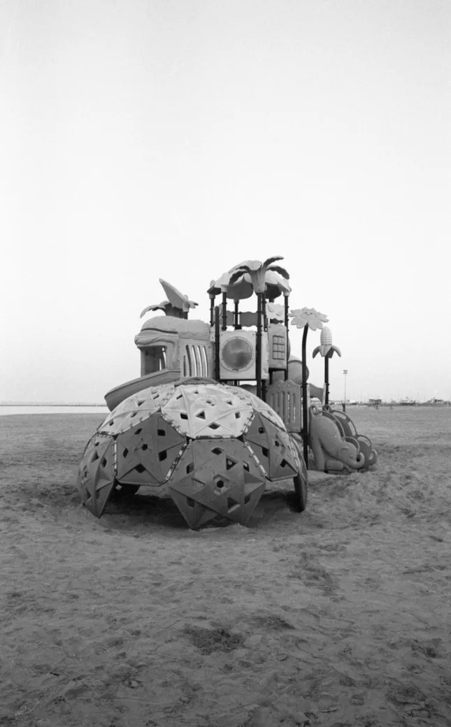Project image