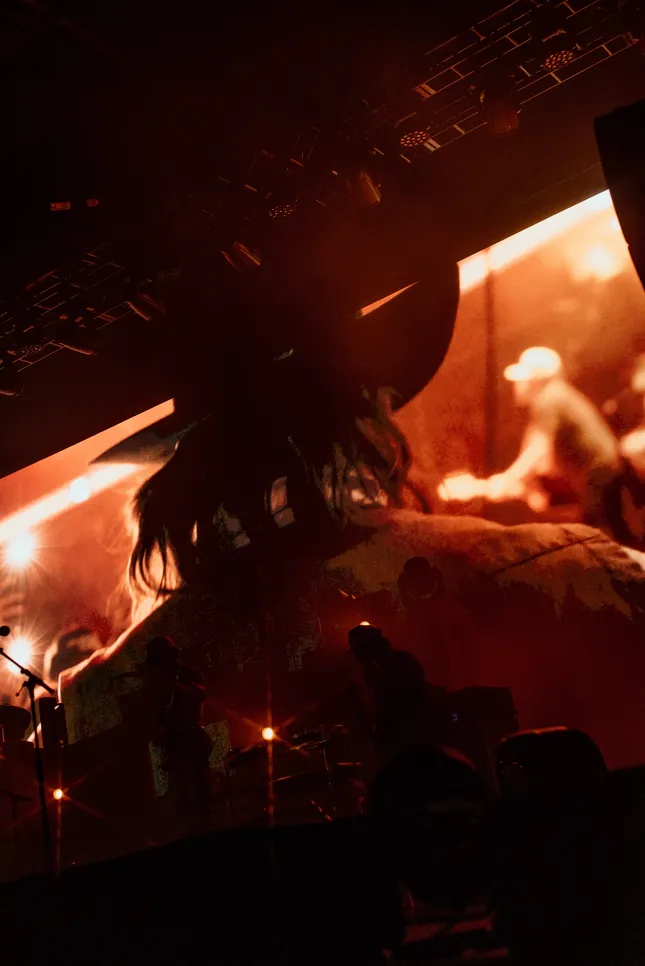 Gavin Adcock — Live Performance (Concert Photography)