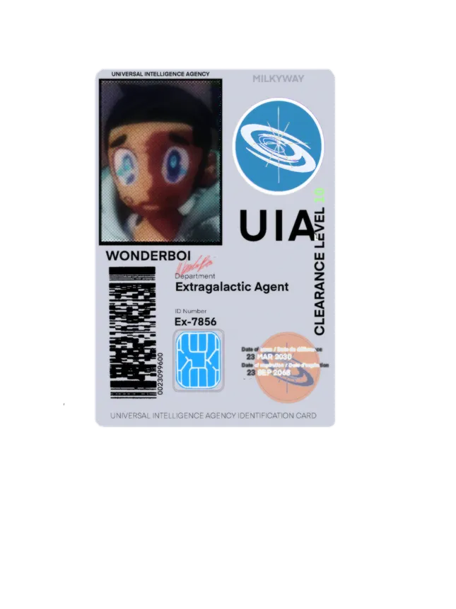 Project image