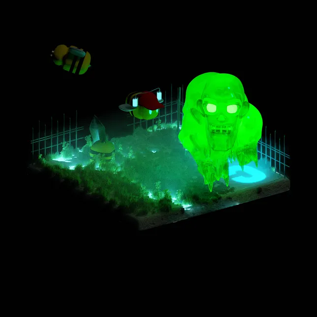 Project image