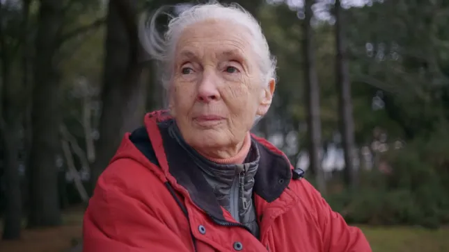 Jane Goodall: The Hope
