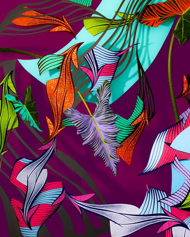 Project image