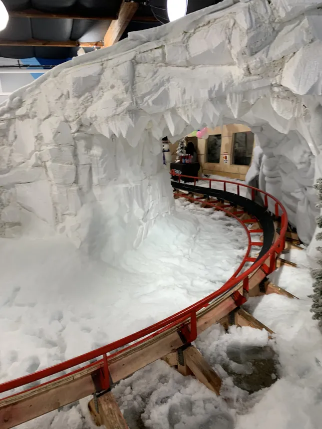 “I Built a Roller Coaster In My Lab”