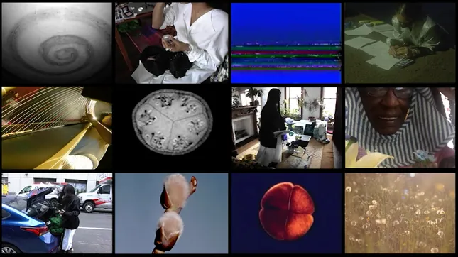 Project image