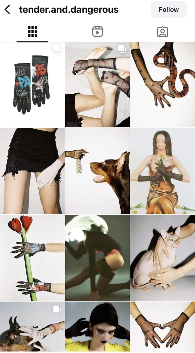 Project image