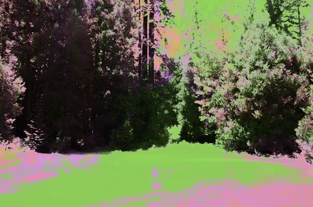 Project image