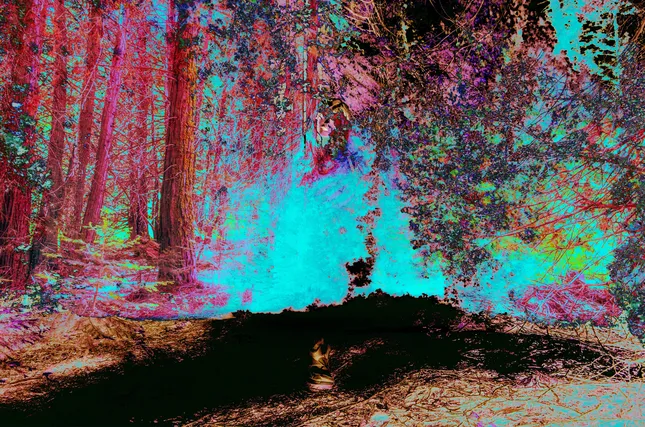 Project image