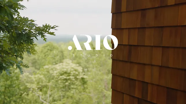 Ario Studio
