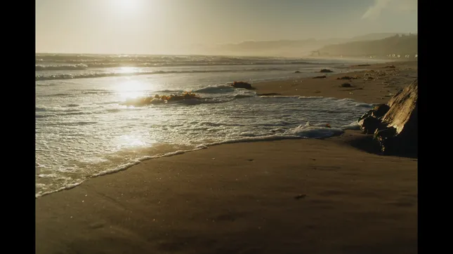 Blackmagic Test Shoot